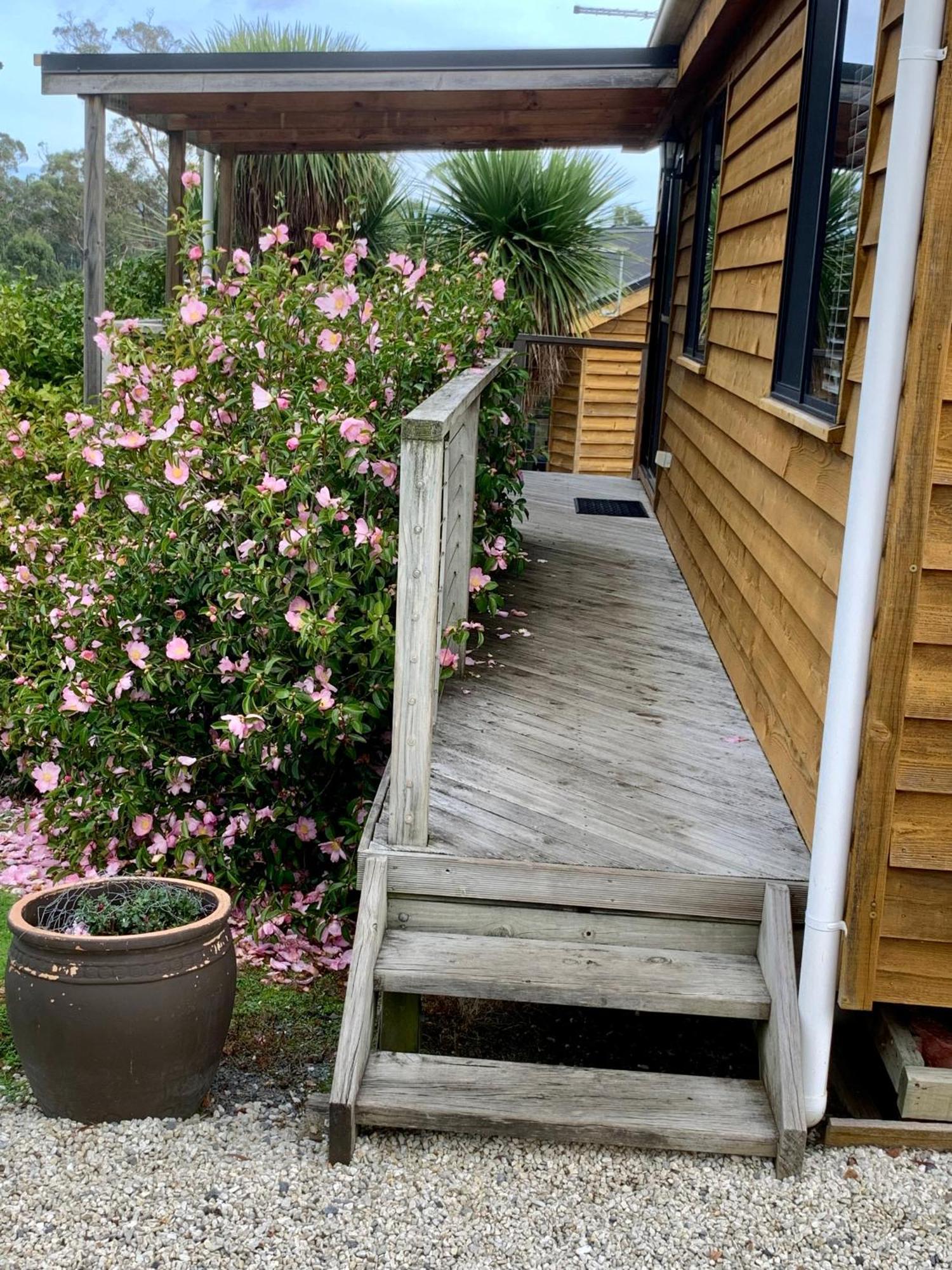 Hazelcreek Cottages Exeter Ngoại thất bức ảnh