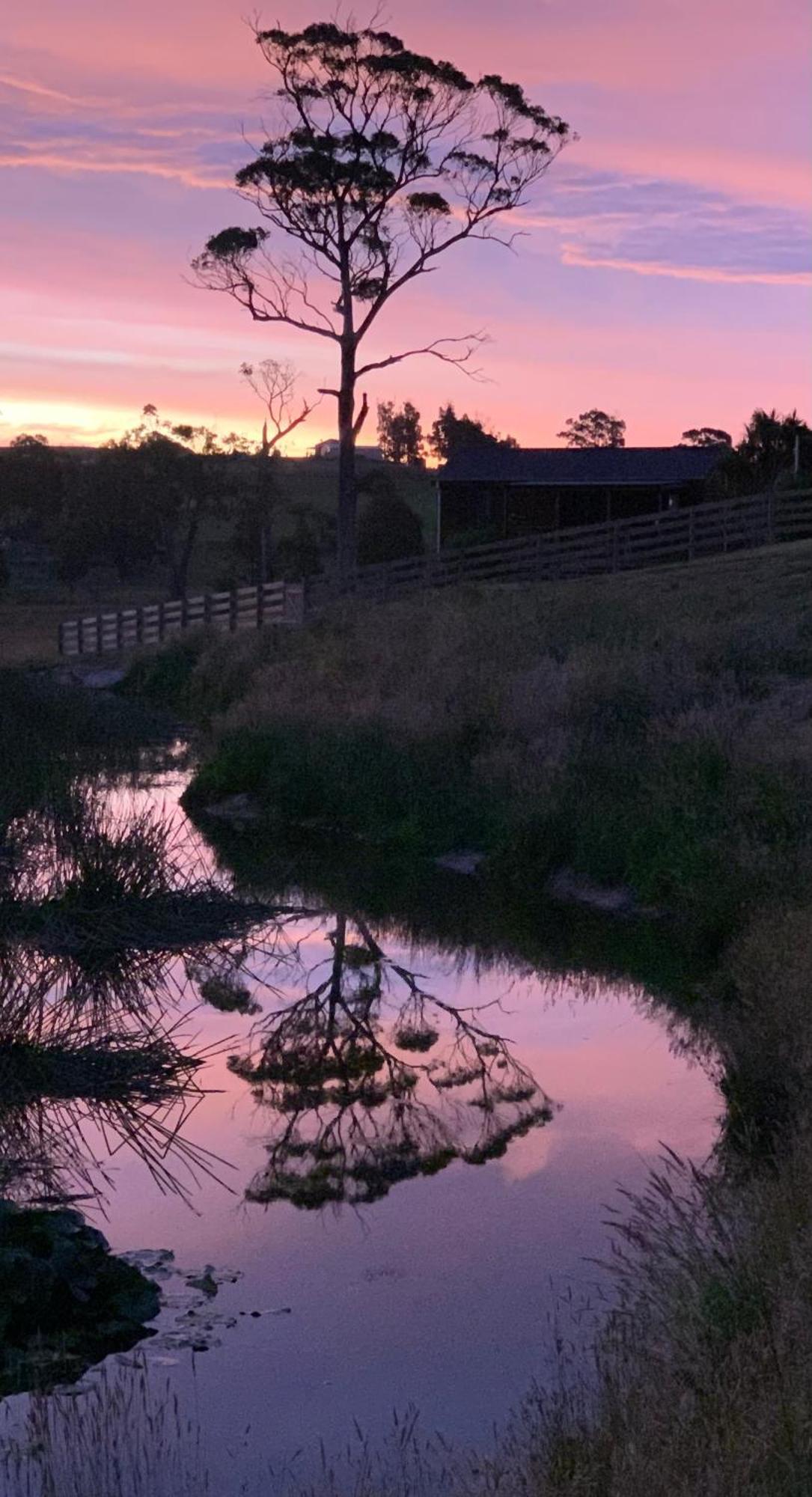 Hazelcreek Cottages Exeter Ngoại thất bức ảnh
