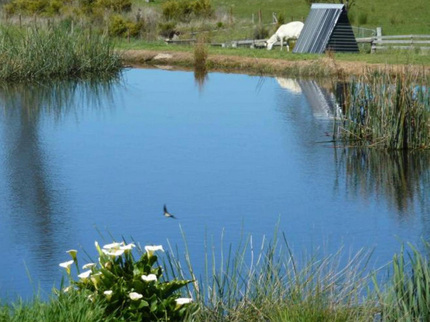 Hazelcreek Cottages Exeter Ngoại thất bức ảnh
